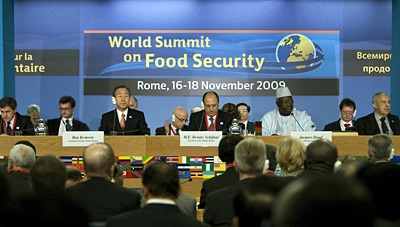 Fao, Summit sulla sicurezza alimentare