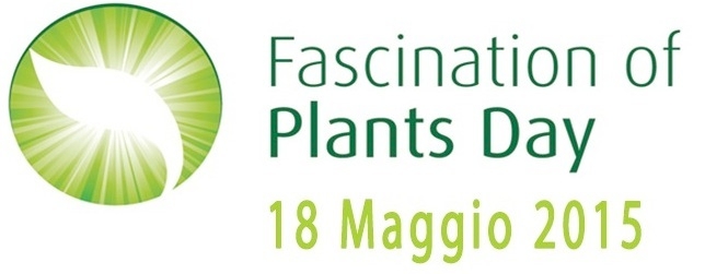 fascination-plant-day.jpg