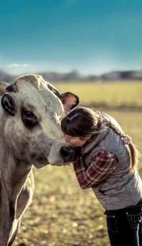 Le aziende agricole che conferiscono il latte a Fattoria Osella sono state valutate attraverso 90 indicatori specifici di benessere animale e biosicurezza
