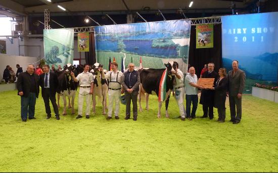 Un momento dell'European Open Holstein Show che si è svolto a Montichiari, nei pressi di Brescia
