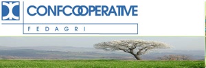 Fedagri-Confcooperative: 'Occorre politica per il settore agricolo affinché diventi strategico'