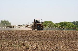 Nei campi italiani vengono usati sempre meno fertilizzanti: i dati nel recente studio dell'Istat