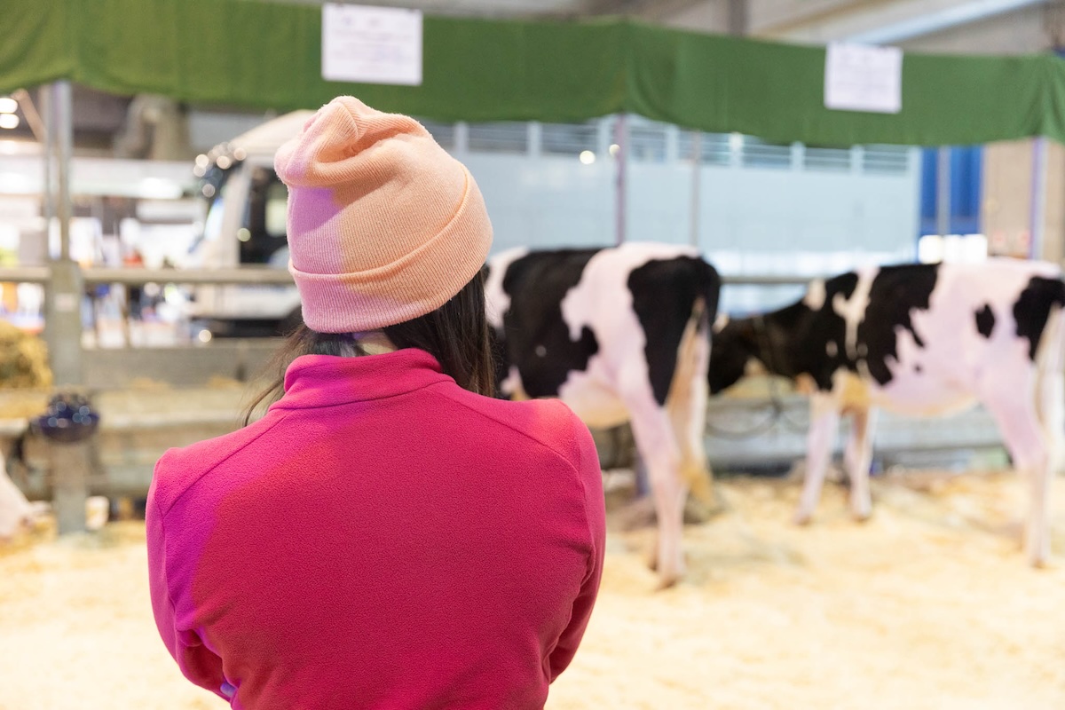 Un momento delle Fiere Zootecniche Internazionali di Cremona