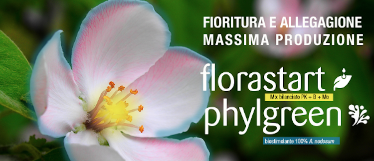 fioritura-allegagione-florastart-phylgreen-fertilizzanti-biostimolanti-redazionale-aprile-2021-fonte-foto-tradecorp.png