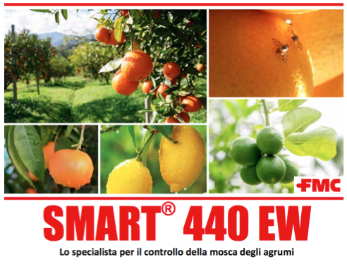 Smart 440 EW, contro la mosca mediterranea della frutta