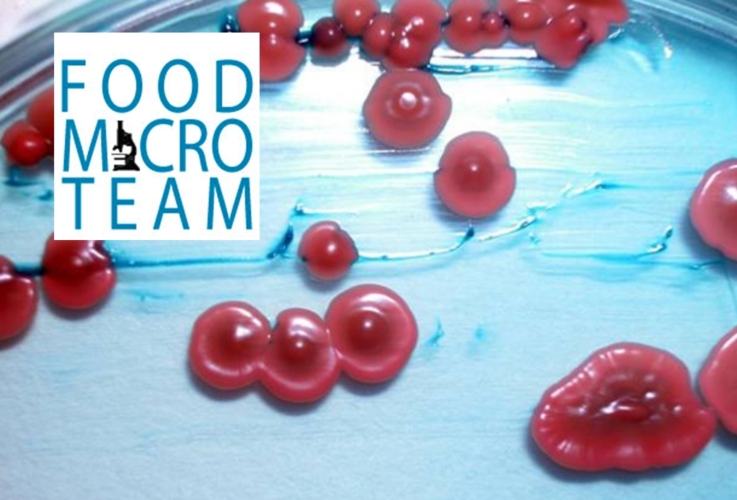 Il logo di FoodMicroTeam sullo sfondo di una coltura microbica