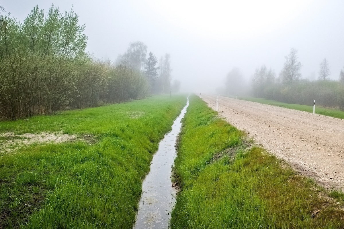 Se il terreno è in affitto il vicino danneggiato può rivolgersi al proprietario del fondo