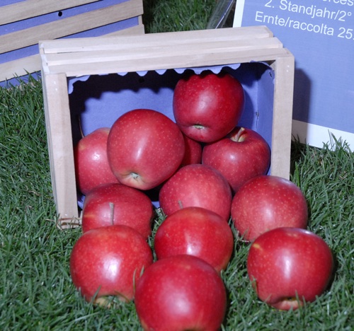 Interpoma 2008: focus su mercato e coltivazione della mela