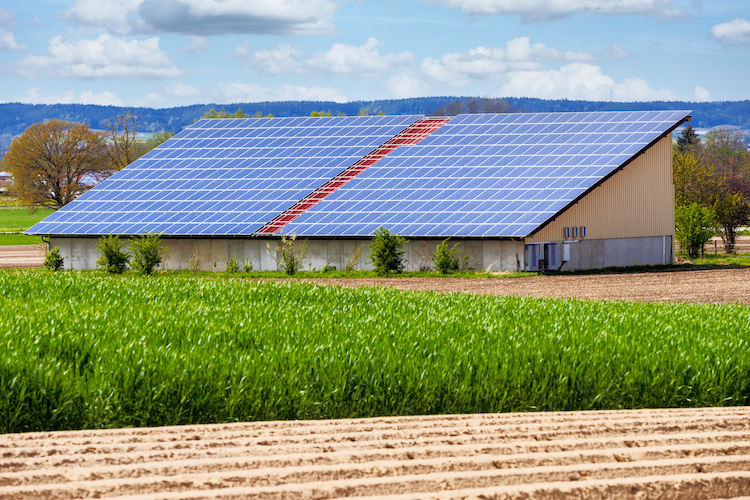 fotovoltaico-agricoltura-bioenergie-by-manfredxy-adobe-stock-750x500.jpeg
