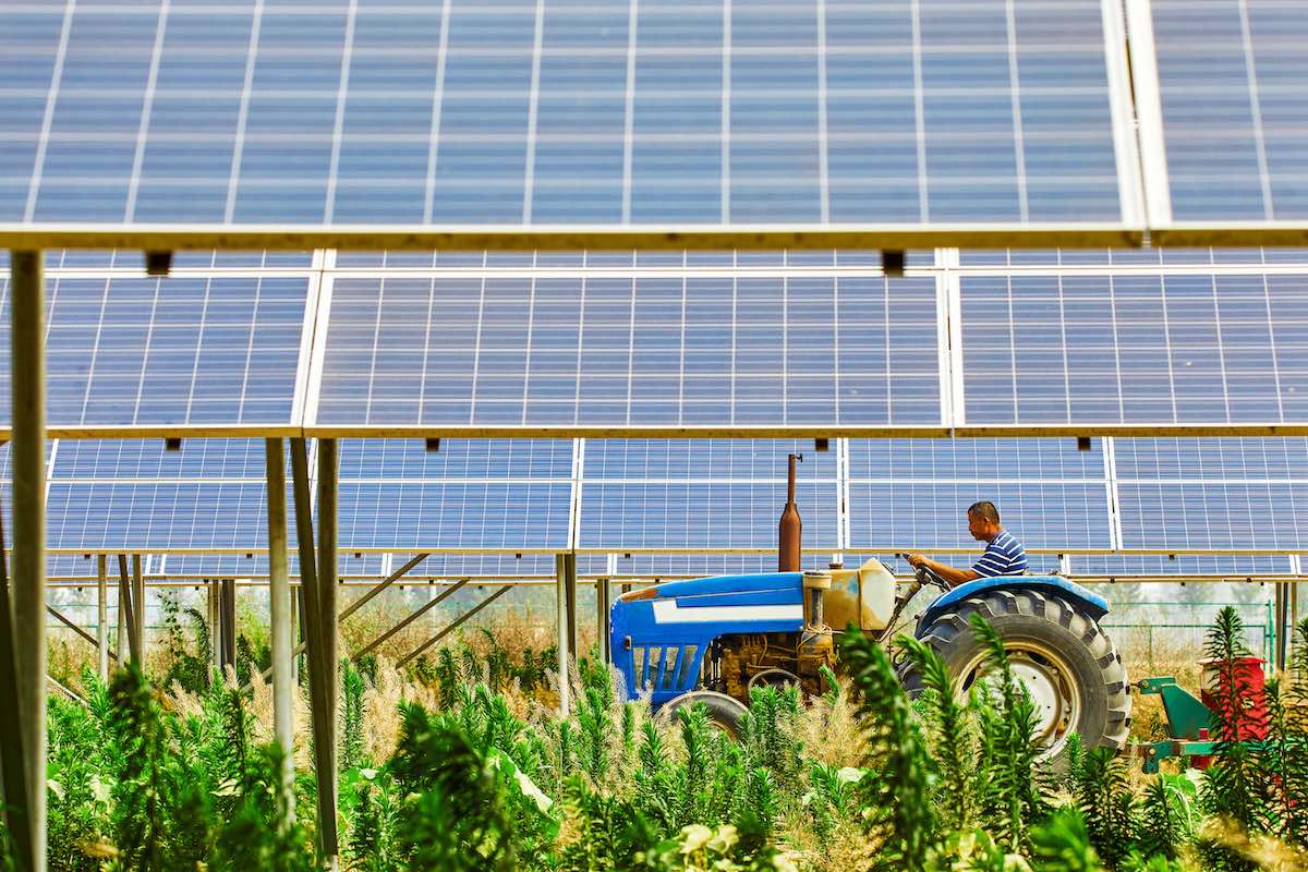 Agrovoltaico e fotovoltaico a terra, trova le differenze
