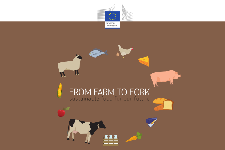 La strategia From Farm to Fork si inserisce all'interno di un ambizioso piano Ue denominato Green Deal
