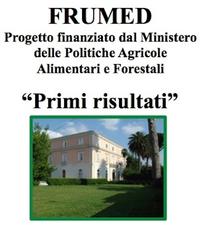 Frumed: primi risultati<br />Caserta, 19-20 aprile 2011