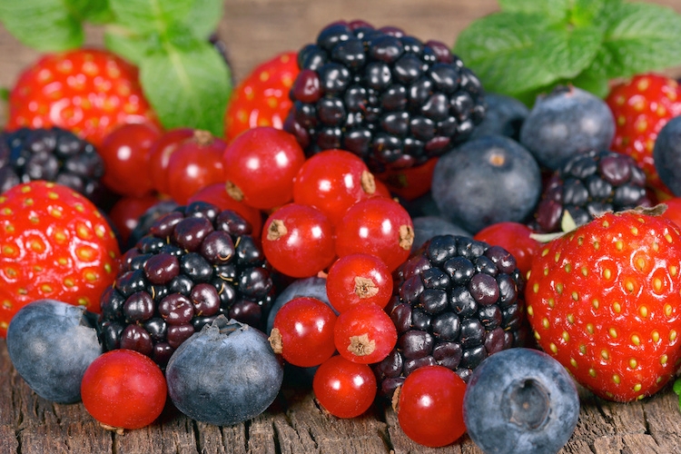 I frutti di bosco sono ricchi di antociani e sostanze fenoliche, oltre che di sali minerali, vitamine ed acido ascorbico, per questo sono considerati dei veri e propri medicinali naturali
