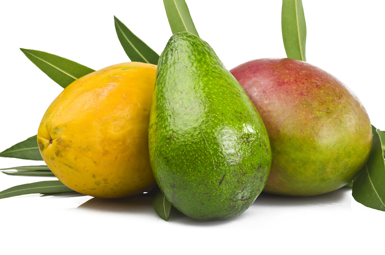 frutti-tropicali-frutta-esotica-papaya-avocado-mango-by-orlando-bellini-adobe-stock-750x497.jpeg