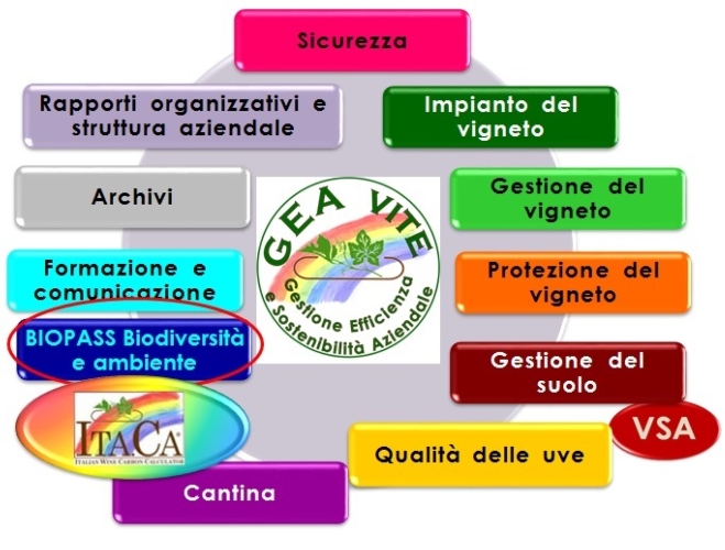Gea.vite®, Protocollo di autovalutazione per la filiera vitivinicola italiana messo a punto da Sata Studio Agronomico