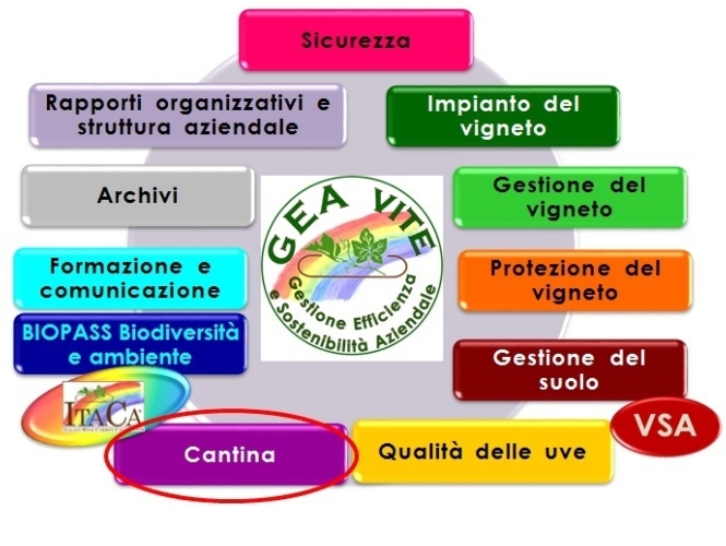 Gea.vite®, Protocollo di autovalutazione per la filiera vitivinicola italiana messo a punto da Sata Studio Agronomico