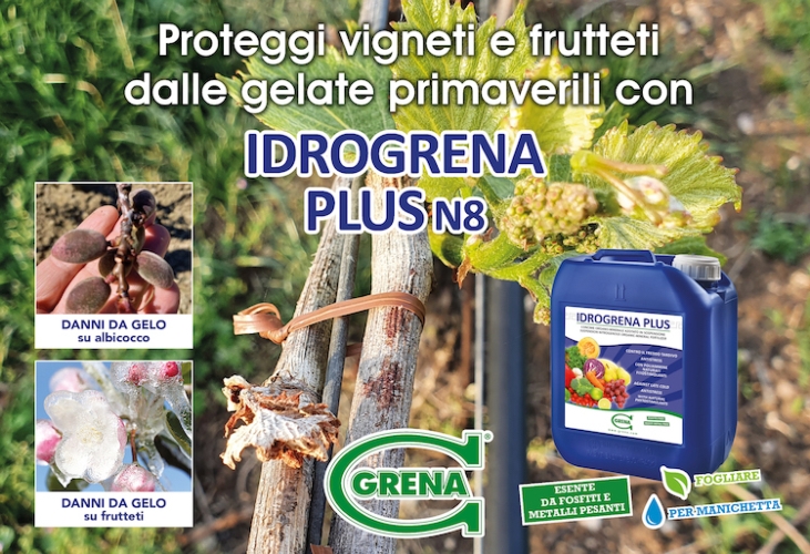 Gelate primaverili, Idrogrena Plus protegge vigneti e frutteti - le news di Fertilgest sui fertilizzanti