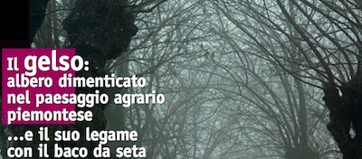 'Il gelso: albero dimenticato nel paesaggio agrario piemontese'<br />Torino, 16 aprile 2011