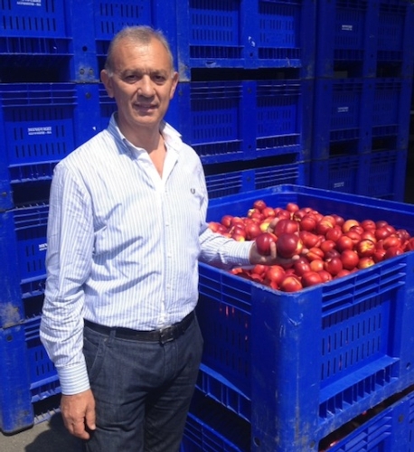 Giancarlo Minguzzi, presidente di Fruitimprese Emilia-Romagna