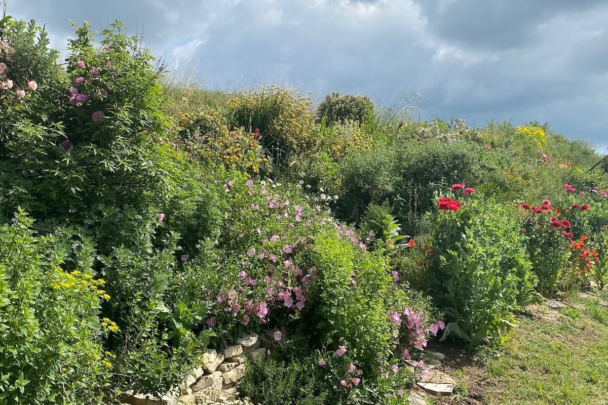 Verde urbano, esperienze di Jardin Sec
