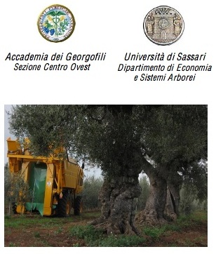 Intensificazione colturale in olivicoltura