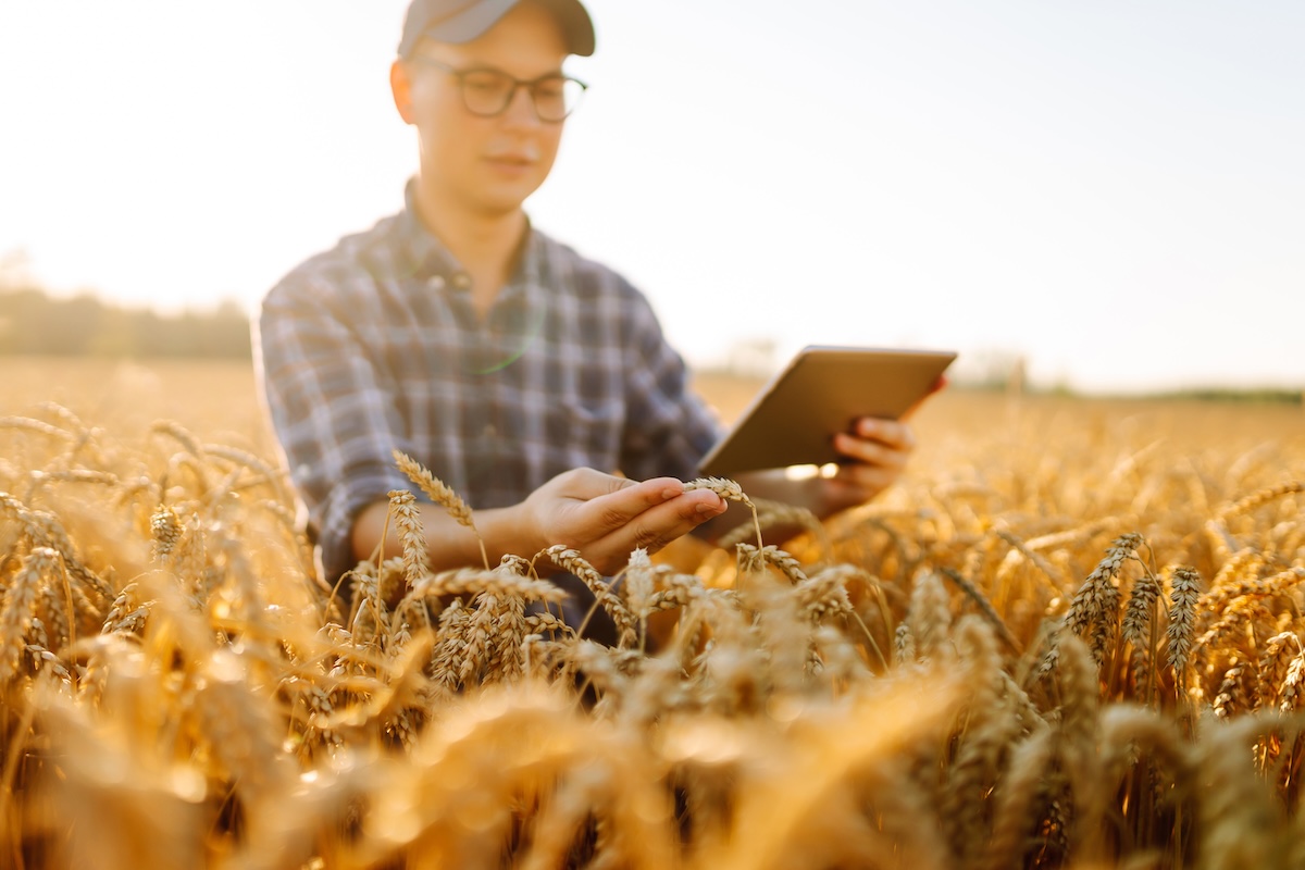 Giovani e agricoltura: debutta il Servizio Civile Agricolo. Domande entro il 15 ottobre