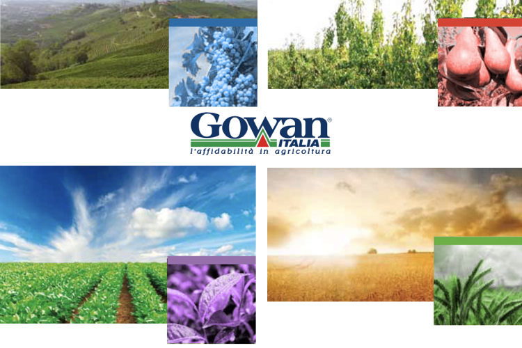 Dai bio-preparati ai nutrizionali, dai fungicidi e insetticidi agli erbicidi: al convegno Gowan, le novità del catalogo 2019