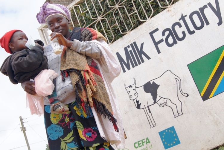 Africa Milk Project ha vinto nella categoria 'Sviluppo sostenibile nelle piccole comunità rurali in aree marginali'