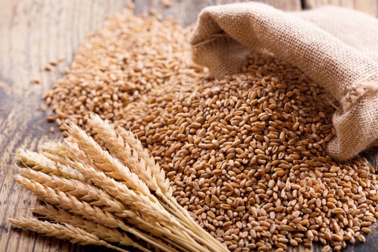 I cereali in granella sono i protagonisti dell'interscambio mondiale (Foto di archivio)