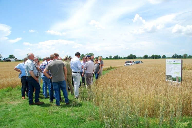 Agricoltori in visita presso una delle 20 aziende dimostrative