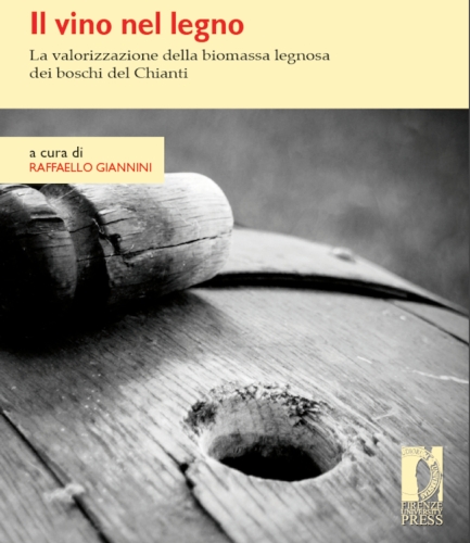La copertina del volume Il vino nel legno
