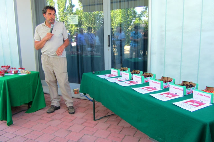 Stefano Lugli durante la presentazione delle ciliegie della serie Sweet a Forlì nel giugno del 2013