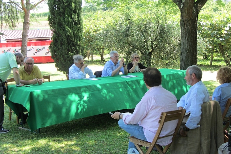 I partecipanti alla conferenza stampa sulla batteriosi del kiwi tenutasi a Faenza martedì 10 giugno