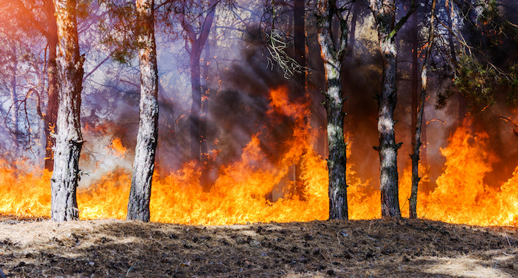 Incendi, oltre 5mila ettari distrutti in Abruzzo