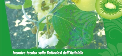 incontri-batteriosi-actinidia-faenza-luglio2010