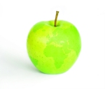 Mercato, residui, biologico: 'il mondo della mela' ad Interpoma