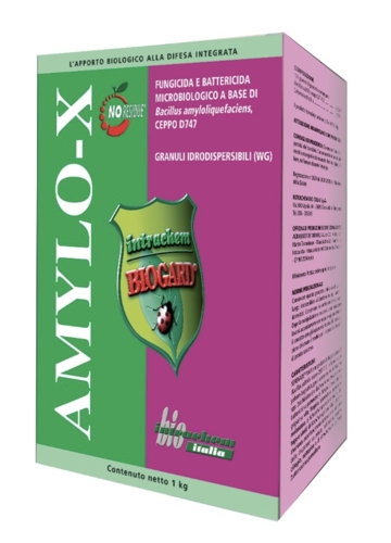 Intrachem Bio Italia, Amylo-X per il controllo della PSA del kiwi