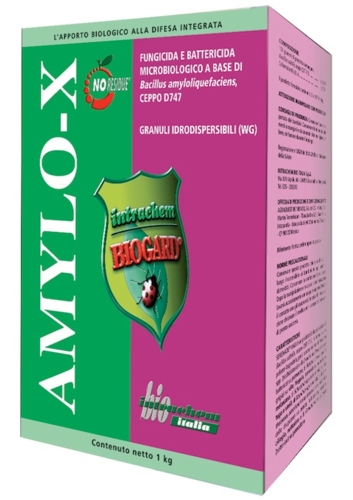 Amylo-X, fungicida e battericida di Intrachem Bio Italia