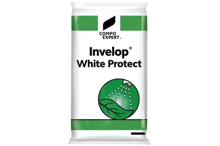 Invelop® White Protect riesce a controllare in maniera efficace la mosca dell'olivo