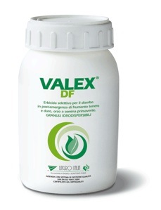 Valex DF di Isagro Italia per la difesa dei cereali