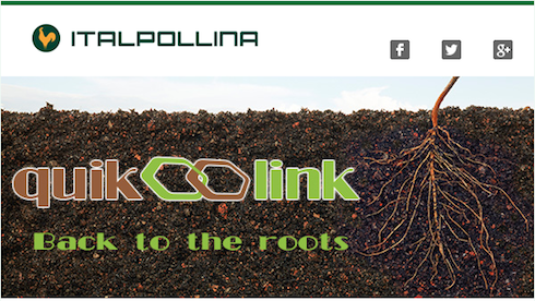 Quick-Link, il biostimolante innovativo di Italpollina