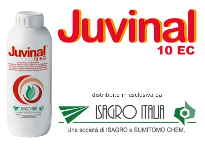 Juvinal® 10 EC, nuova estensione d'impiego su Drupacee e Pomacee