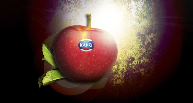 Quest'anno sono state prodotte oltre 45.000 tonnellate di mele Kanzi®, il 20% in più rispetto al 2011