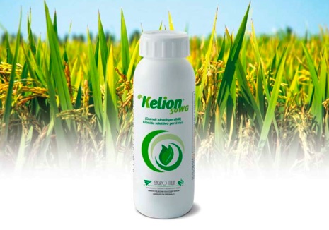 Isagro Italia presenta Kelion 50 WG, erbicida per il riso a base di orthosulfamuron