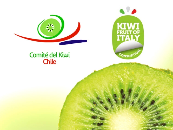 La firma tra Chilean kiwifruit committee e Kiwifruit of Italy avverrà a Berlino durante il Fruit Logistica