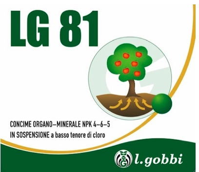 LG 81 di L. Gobbi