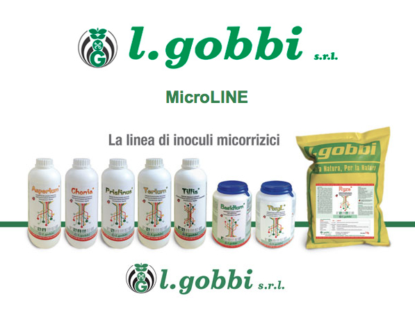 La Linea MicroLine di L.Gobbi