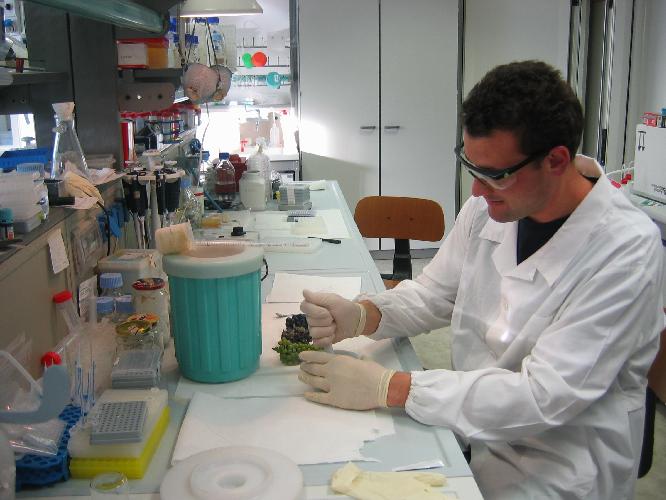 Analisi di laboratorio: tantissimi campioni in Campania per Diossine, Furani e Pcb ma tutte con esito negativo