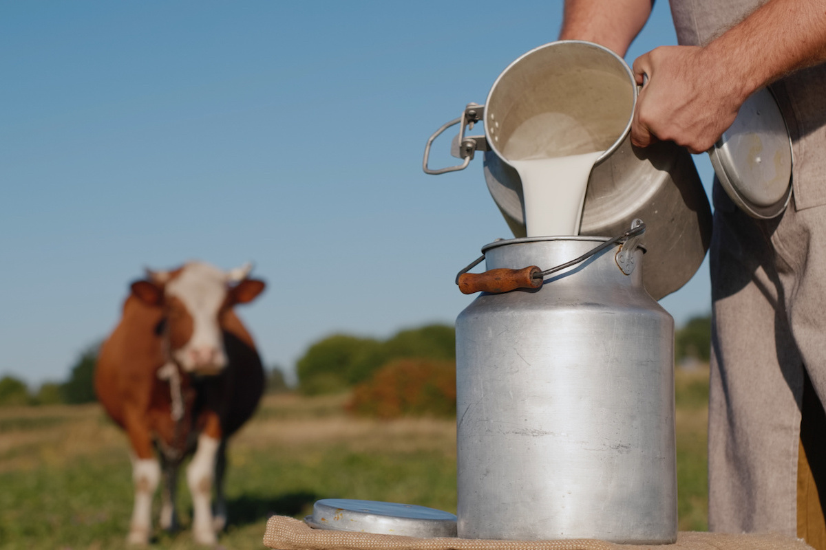 Un accordo al rialzo è favorito dai recenti aumenti del prezzo del latte spot (Foto di archivio)