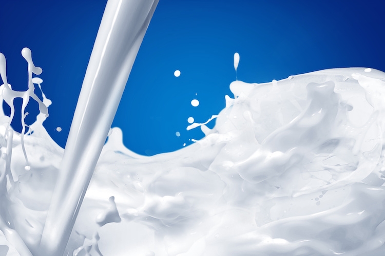 La commissione Ue ha ufficializzato l’approvazione del latte vaccino per l'utilizzo in fitoiatria